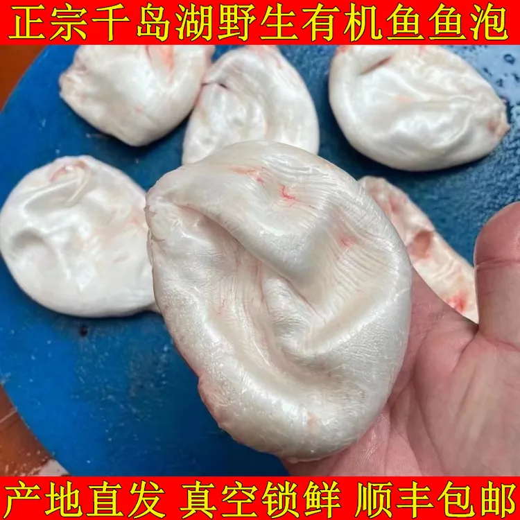 正宗千岛湖胖头鱼鱼泡新鲜鱼泡鱼花鲢鱼鱼鳔鱼肚鱼胶胶原蛋白脂