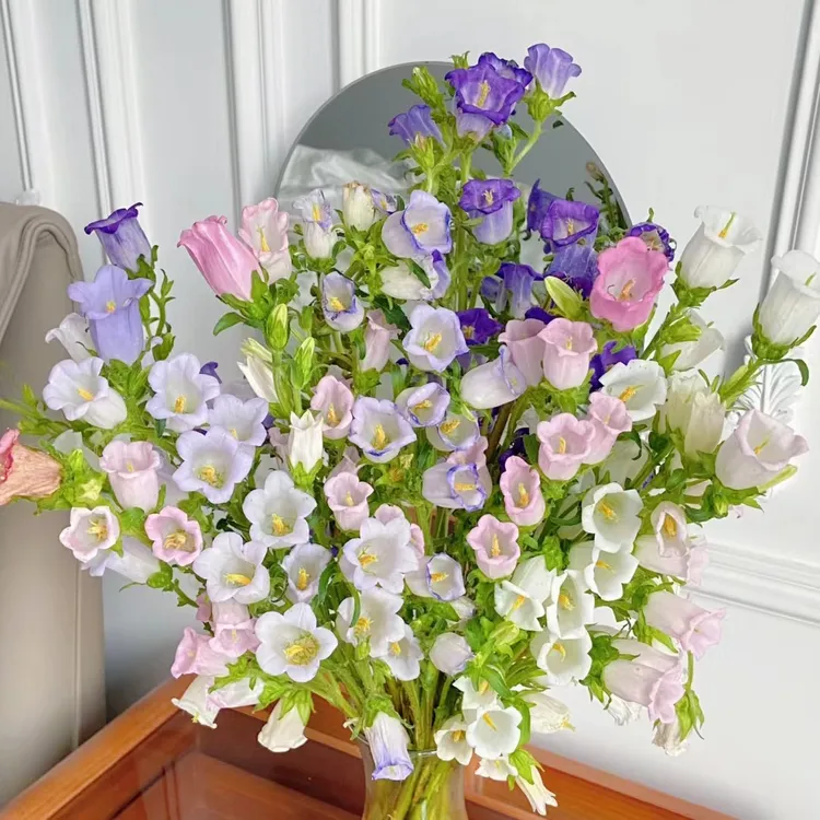 【香羿鲜花】风铃颜色随机（可以备注）