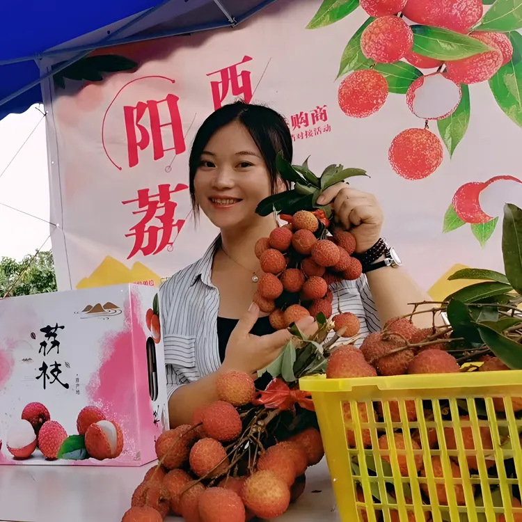 广东阳西上洋镇玉荷包荔枝产地直发京东快递省内一件包邮