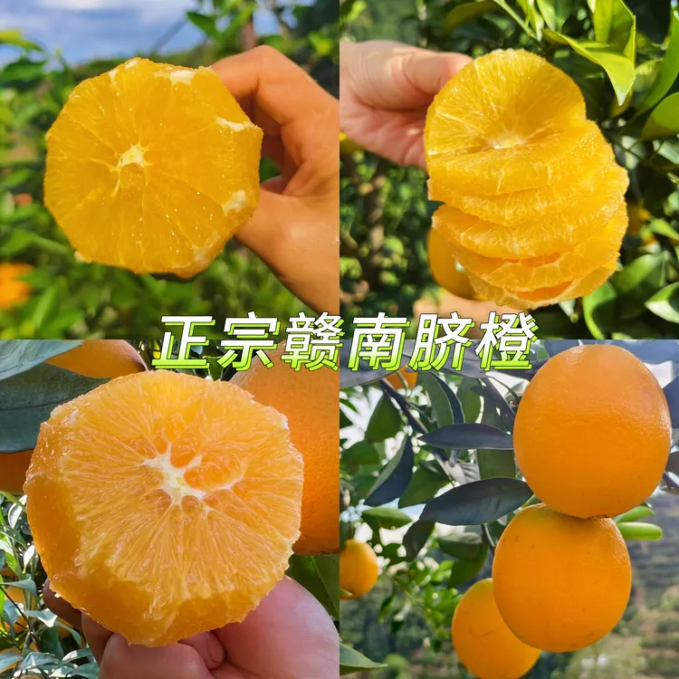 江西正宗赣南脐橙一箱10斤17.5度十斤自家果园精品果现摘现发橙子