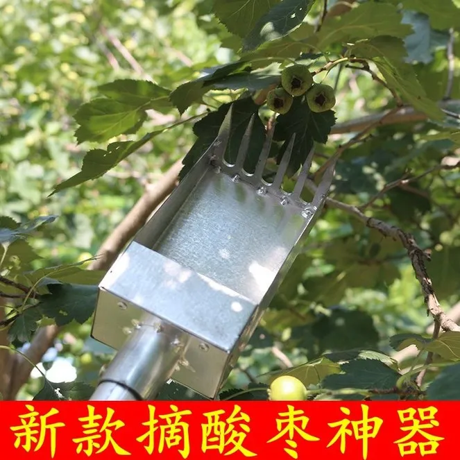 新款摘枣神器摘野枣采果工具摘山枣枸杞蓝莓多功能采摘工具不扎手
