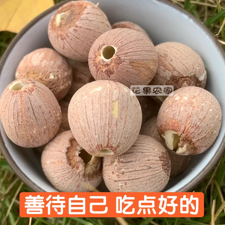 湖南特产大颗粒去芯红莲子干货粉糯营养煲汤煮粥优选原色莲子