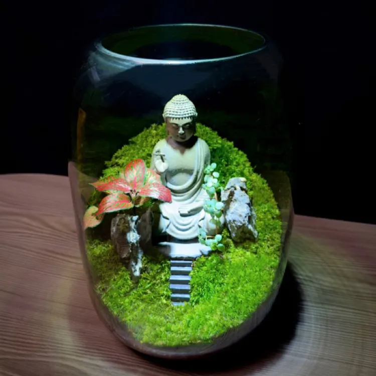 【释迦摩尼】苔藓微景观我佛如来桌面摆件绿植风水玄关禅意摆件