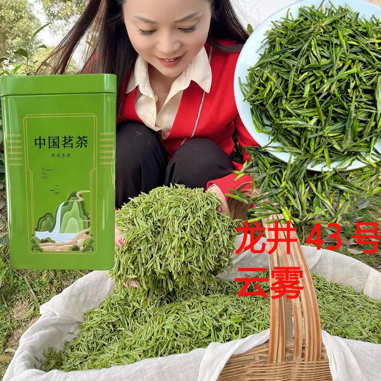 明前龙井43号云雾茶开园茶春季罐装青绿茶平利女娲茶安康富硒茶