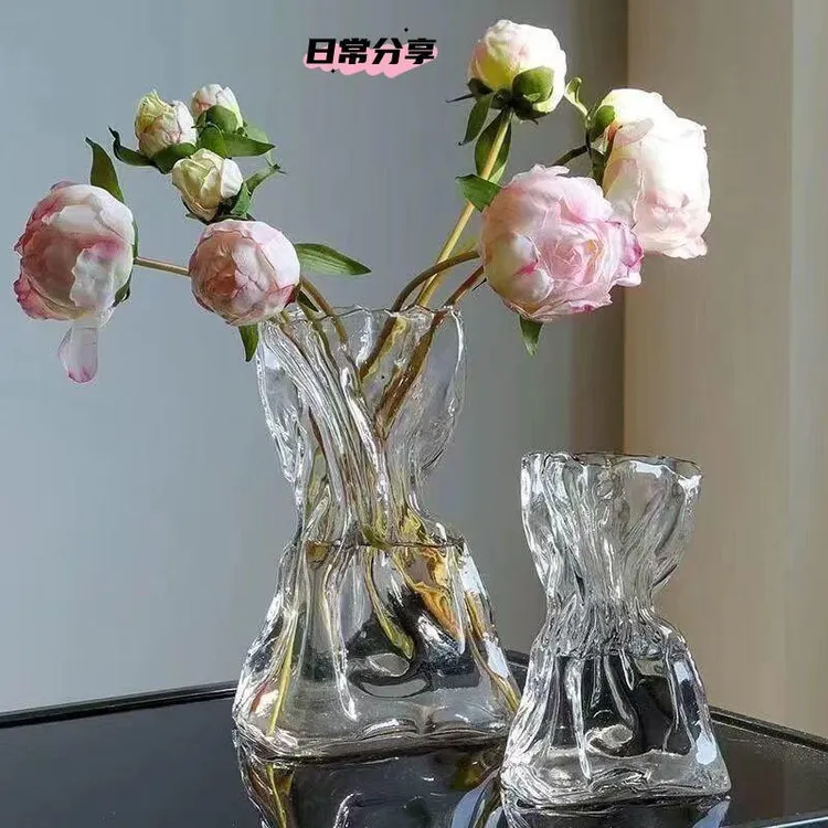 简约创意高级感不规则民宿花瓶透明玻璃客厅桌面插花水养装饰T367