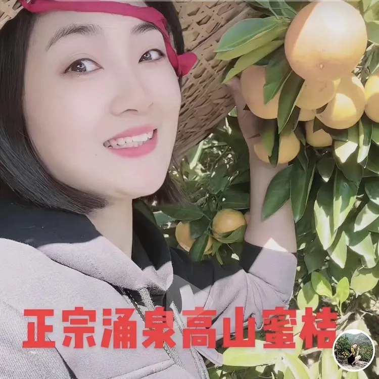 正宗涌泉高山蜜桔皮薄多汁现摘现发原生态应季精品水果10斤装