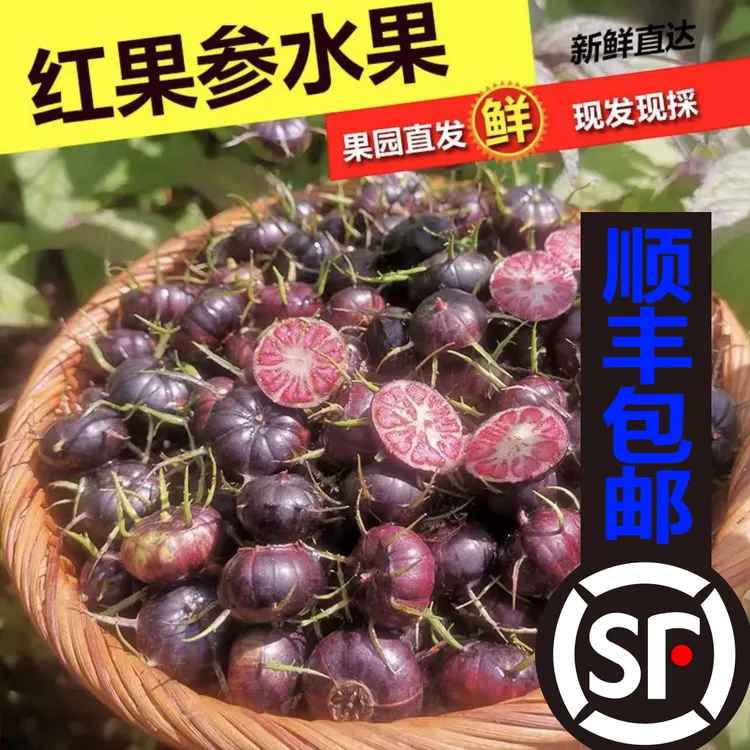 【顺丰包邮】云南文山马关红果参蜘蛛果算盘果紫果125g/盒
