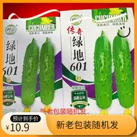 种盈绿地601黄瓜种子,新老包装随机发