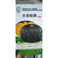 种盈天香板栗种盈天香板栗