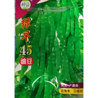 种盈绿早45油豆种子