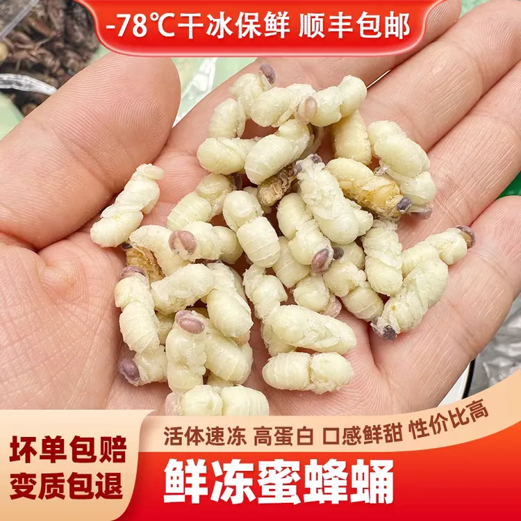 蜂蛹鲜活冷冻马蜂蛹高蛋白虎头蜂蛹云南特产蜜蜂蛹食用昆虫下酒菜