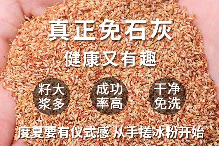 贵州新籽冰粉籽野生爱玉籽免石灰手搓冰粉籽家用商用天然野生冰粉