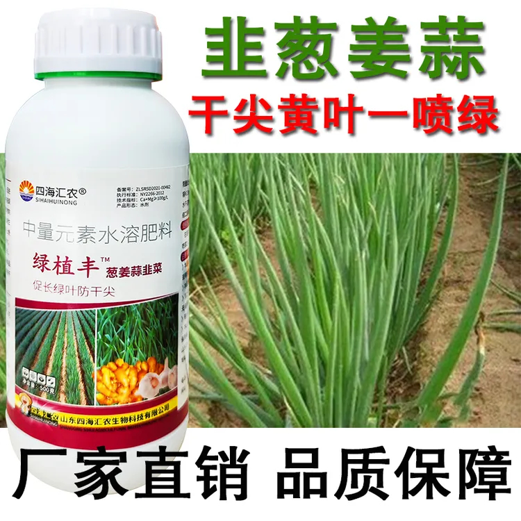 韭葱姜蒜干尖灵韭菜大蒜大姜大蒜韭菜黄叶卷叶抗病粗壮防干尖肥料