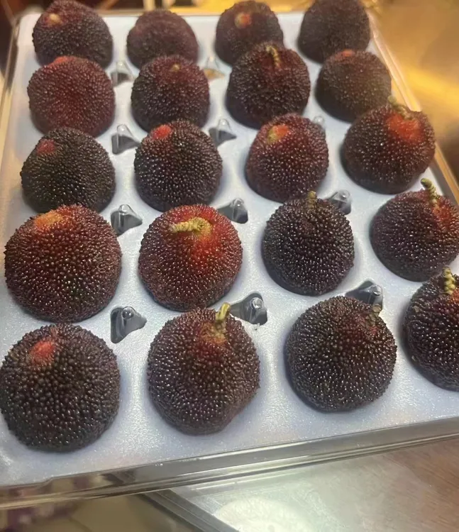 东魁杨梅，扬梅吐气