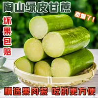 陶山甘蔗果肉装3-5斤 懒人甘蔗 新鲜 陶山青皮绿皮 孕妇水果手撕