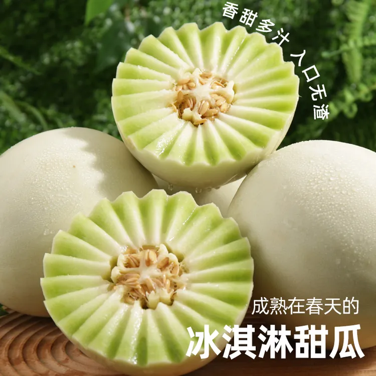 宁夏玉菇甜瓜5-8斤美味冰淇淋甜瓜小香瓜蜜瓜自然新鲜应当季水果