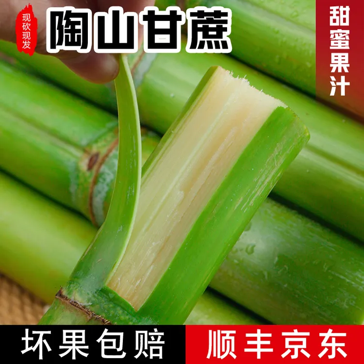 精品单节头 无裂口陶山甘蔗现砍清甜青绿皮甘蔗脆皮3-5斤礼盒装