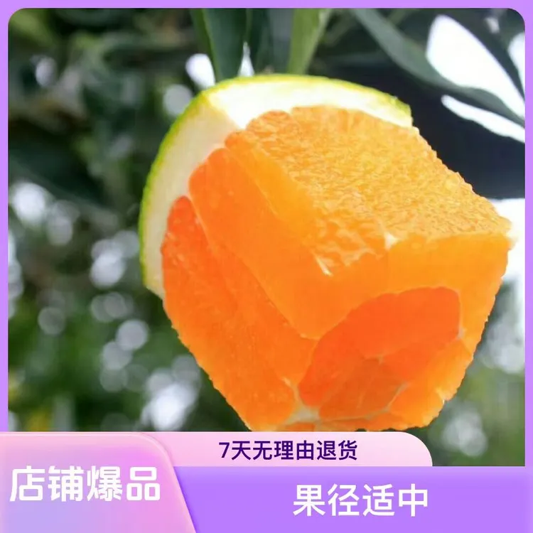 湖北秭归伦晚尾期运营回馈新老顾客保本让利现摘现发包邮包赔
