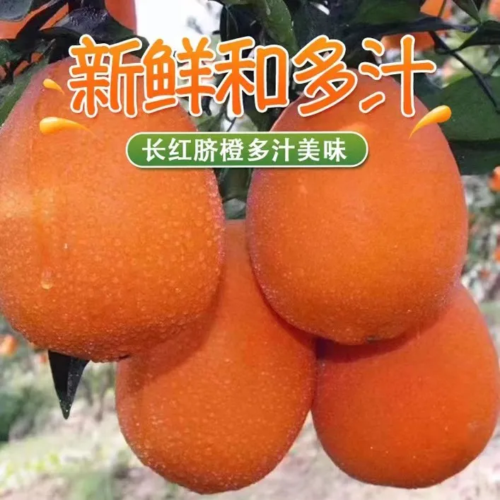 秭归正宗长红果大皮薄汁多香甜大人小孩都爱吃