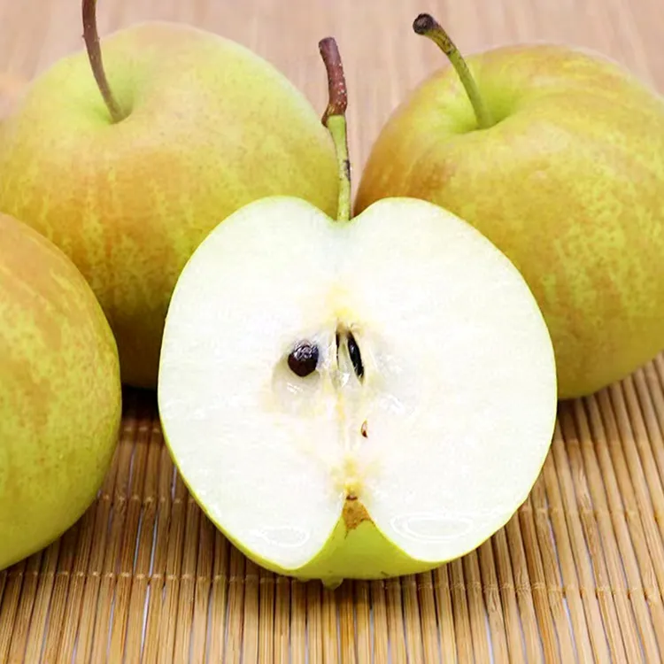 山西玉露香梨子新鲜10斤应当季水果非砀山梨贡梨发货水晶蜜梨整箱