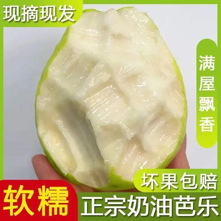 南方奶油白心芭乐番石榴应季新鲜水果3斤/5斤低脂奶香冰淇淋口感