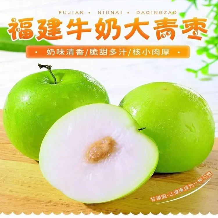 福建牛奶大青枣3/5斤礼盒贵妃蜜枣冬枣脆甜枣子现摘应季新鲜水果