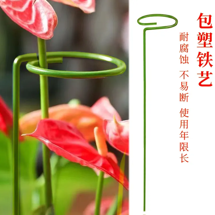 植物固定防倒伏花架子园艺支撑单杆室外花园月季爬藤绣球撑花支架