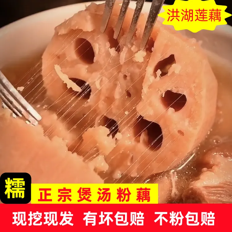 湖北原产粉藕新鲜莲藕现挖炖汤煲汤粉藕洪湖莲藕红藕面藕粉糯藕段