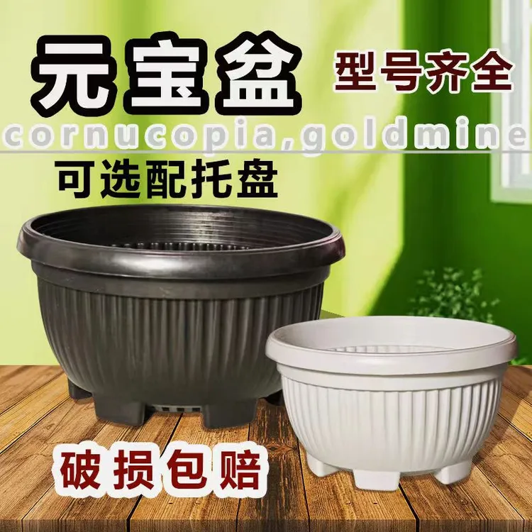 元宝盆黑色圆口矮胖塑料盆多肉老桩盆盆景盆加厚加硬耐用透气黑盆