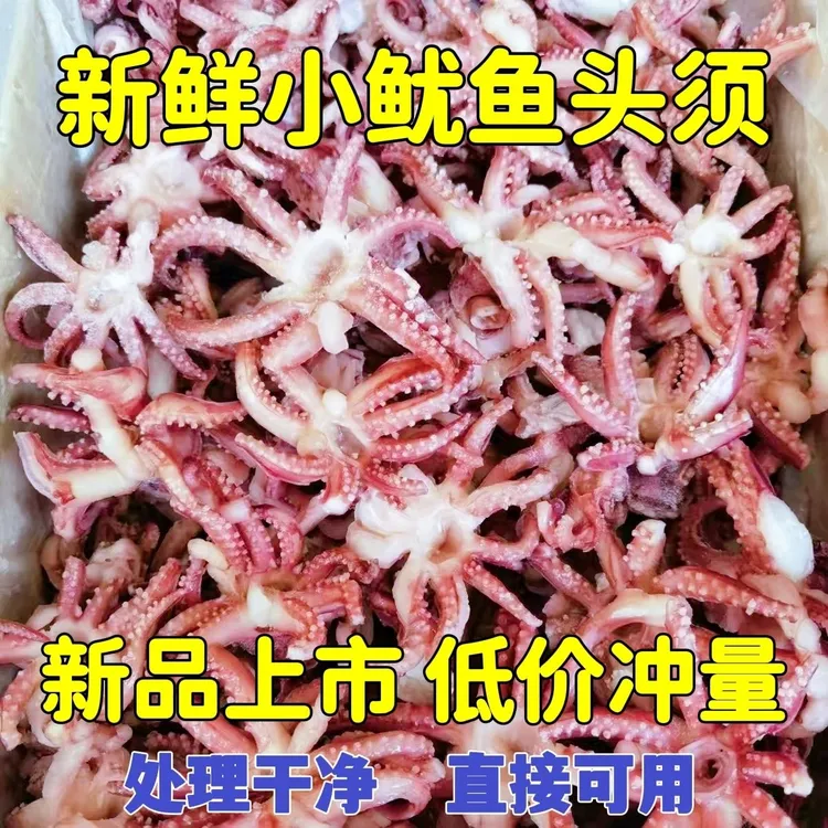 小鱿鱼须小鱿鱼头须八爪须新鲜冷冻无冰衣铁板烧烤餐饮食材批发