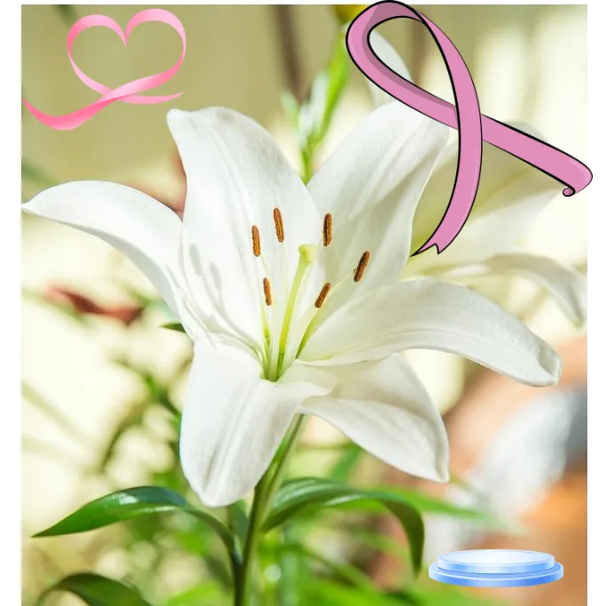 百合礼物送礼百合合百合礼物生日情侣百合百合百合fghfghj