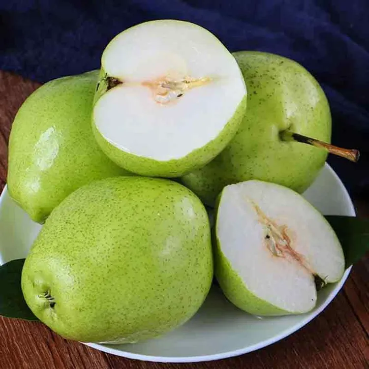 甘肃静宁早酥梨新鲜现摘产地直发2kg包邮