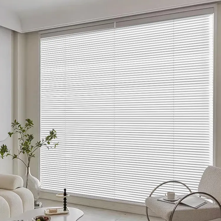 多种定制免打孔防窥遮阳帘阳光房纯色窗帘客厅浴室生活防水唯美