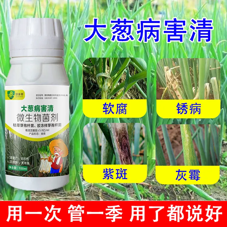 大葱病害专用病害清预防保护软腐灰霉锈病紫斑干尖黄叶微生物菌剂