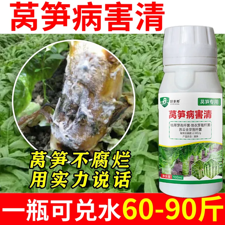 莴笋专用病害清药莴笋软腐菌核叶斑病灰霉病根腐毒微生物菌剂肥料