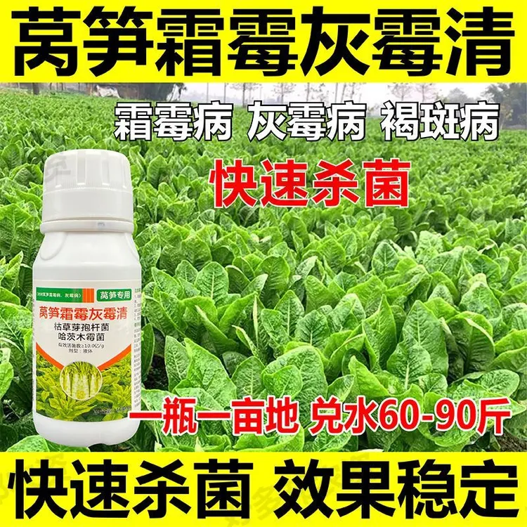 莴笋专用莴笋霜霉病灰霉病软腐病杀菌剂大量通用四季植物液体