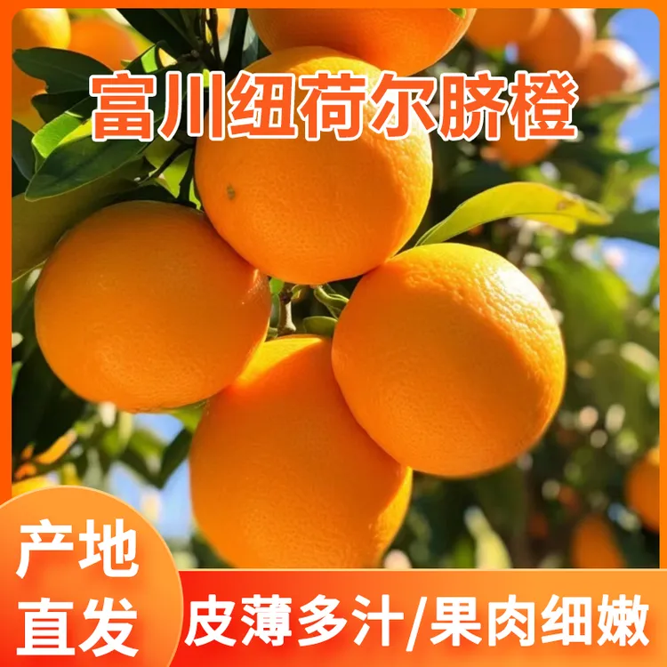 富川纽荷尔脐橙皮薄多汁新鲜现摘直发9斤包邮发货特产级水果