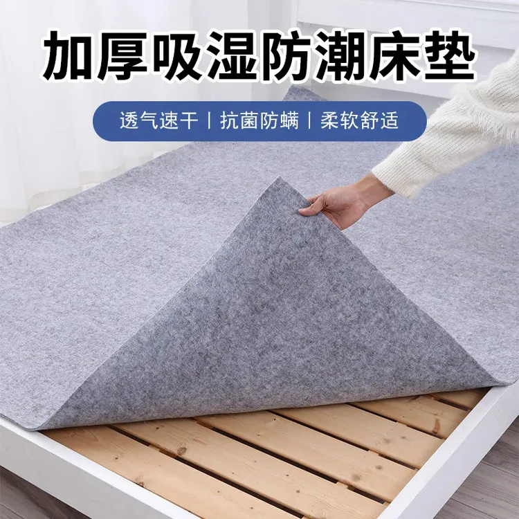 防潮床垫家用宿舍单人床加厚防霉霉螨防湿吸潮吸湿隔离榻榻米垫子