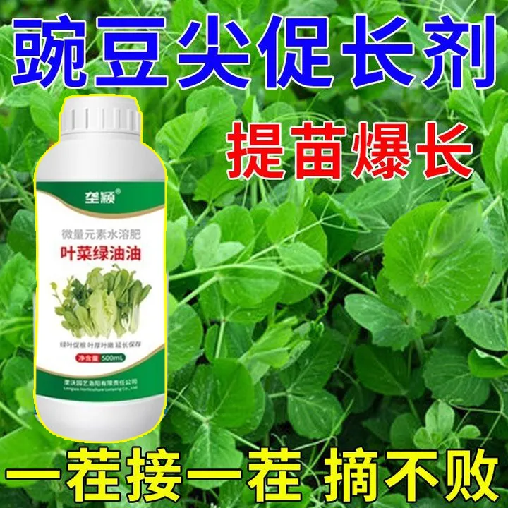 豌豆尖专用肥料提苗暴长剂膨大素增粗剂防卷叶芽枯病豌豆尖叶面肥