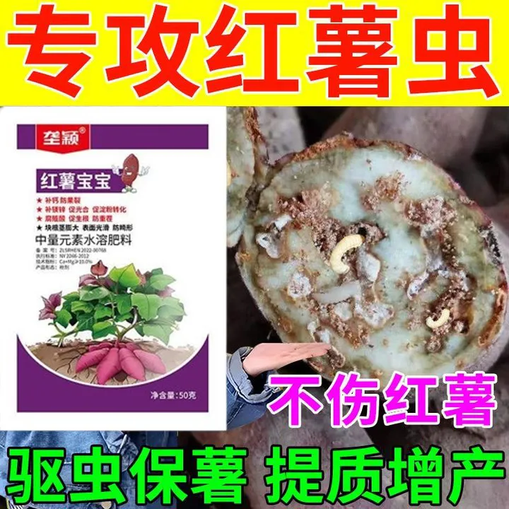 红薯地下害虫红薯茎线虫防蛀虫炭疽病黑斑小叶病黄叶病红薯专用肥