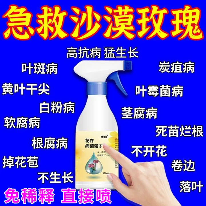 沙漠玫瑰专用营养液黄叶干尖落叶白粉病黑斑病软腐病掉花苞肥料
