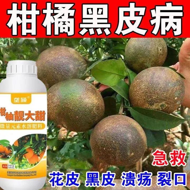 柑橘病专用除菌剂黑皮病黑星溃疡流胶黄化黄叶裂果落果柑橘专用肥