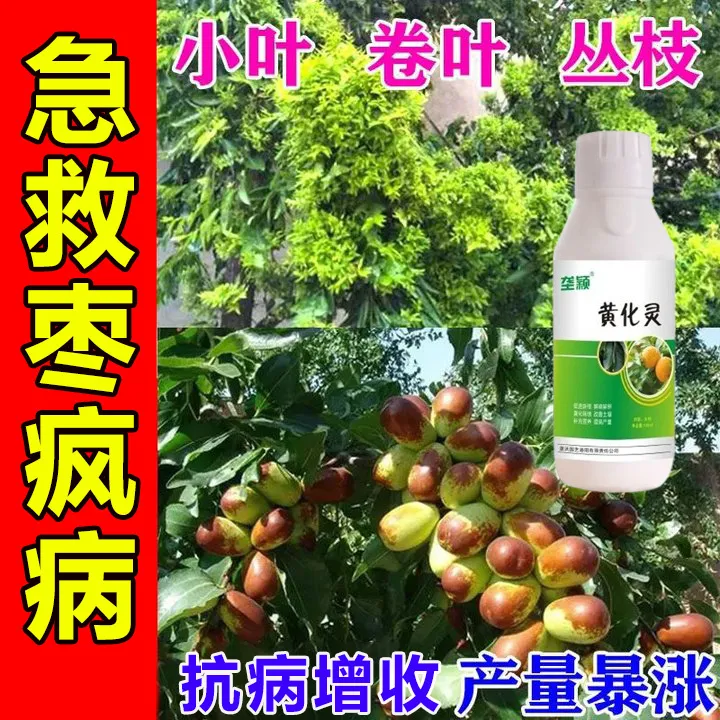 枣树枣疯病专用除菌剂病毒病小叶病卷叶丛枝病枣锈病炭疽病叶面肥