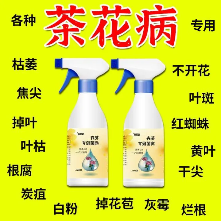 茶花病害专用肥料除菌叶尖枯焦黑斑锈斑病烂根黄叶白粉枯萎炭疽病