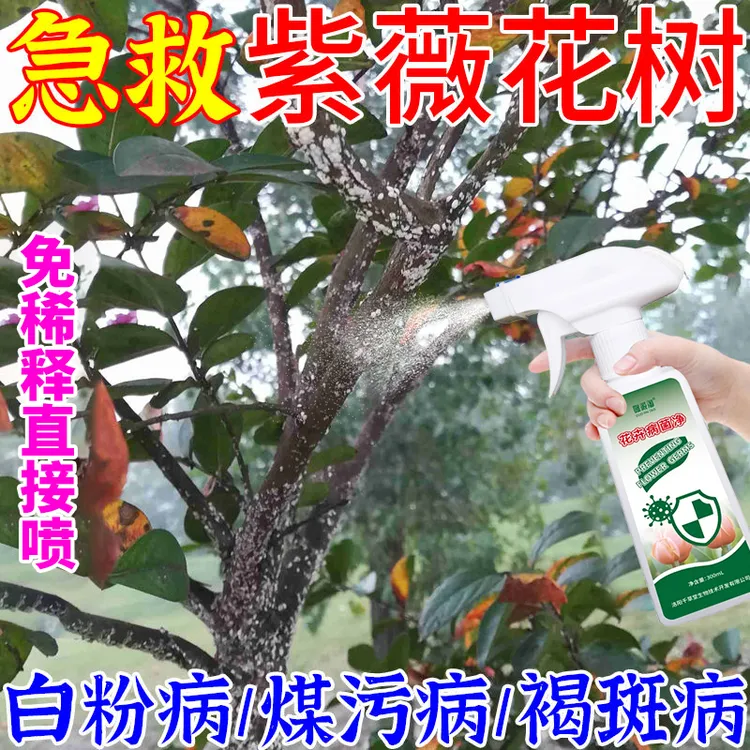 急救紫薇花白粉病叶斑病黑斑病抑菌剂黄叶掉叶叶斑霜霉营养液肥料