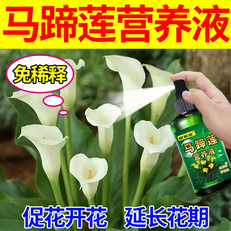 马蹄莲专用营养液黄叶干尖蔫巴烂根促开花延花期免稀释园艺营养液