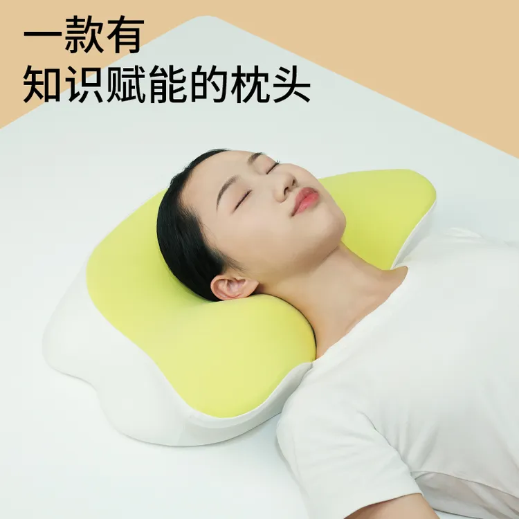 景枕送景腾8大课程指定企业店枕头睡觉记忆枕慢回弹