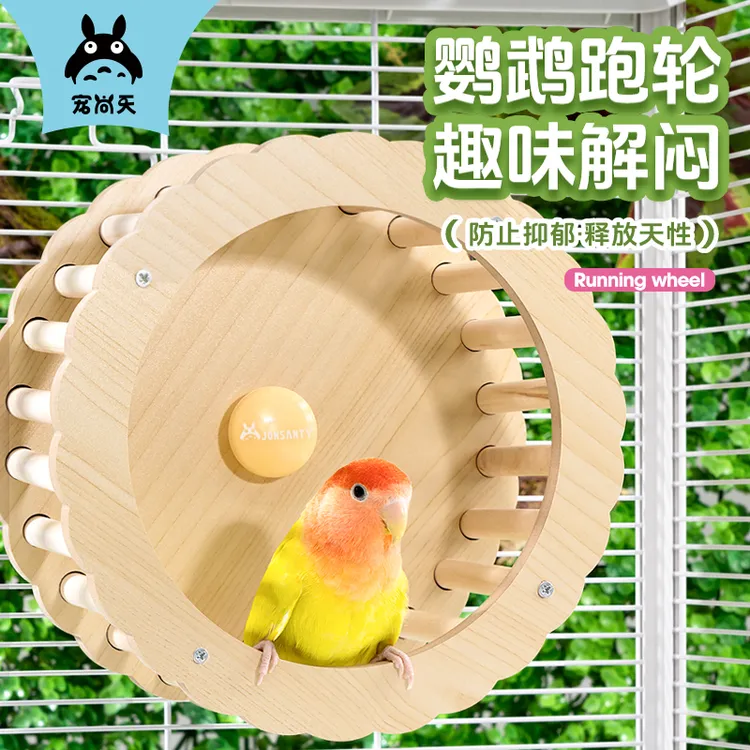 鹦鹉跑轮益智玩具自嗨解闷训练转轮鸟用跑轮虎皮牡丹鹦鹉玩具互动