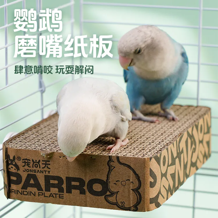 宠尚天鸟用双面啃咬纸板补充鹦鹉玩具天然防止抑郁两用超大小太阳