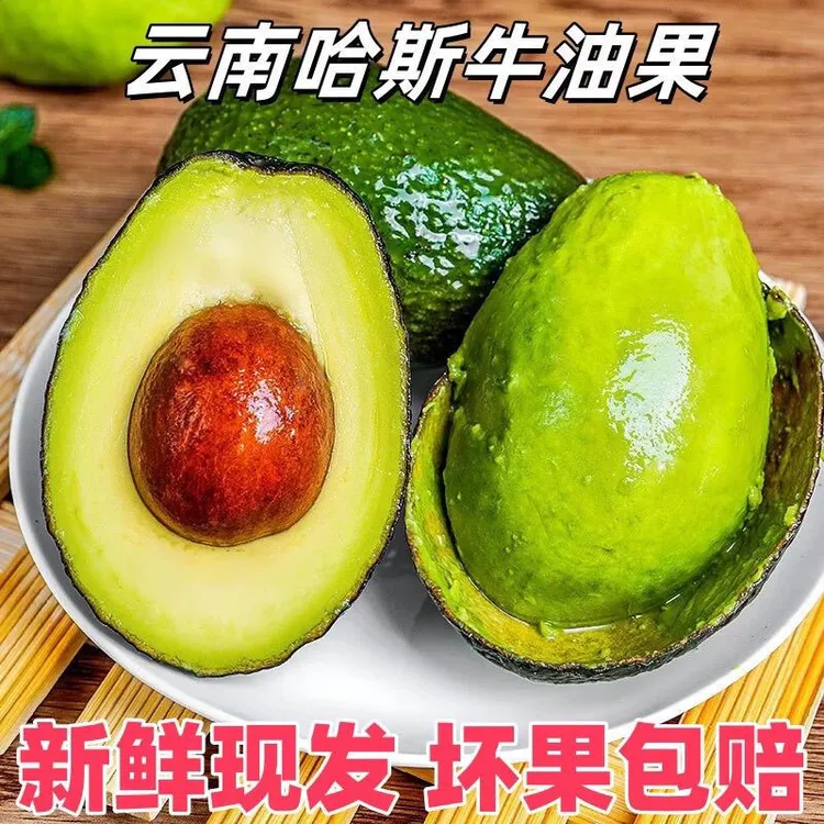 云南孟连哈斯牛油果口感绵密森林奶油标准更新鲜